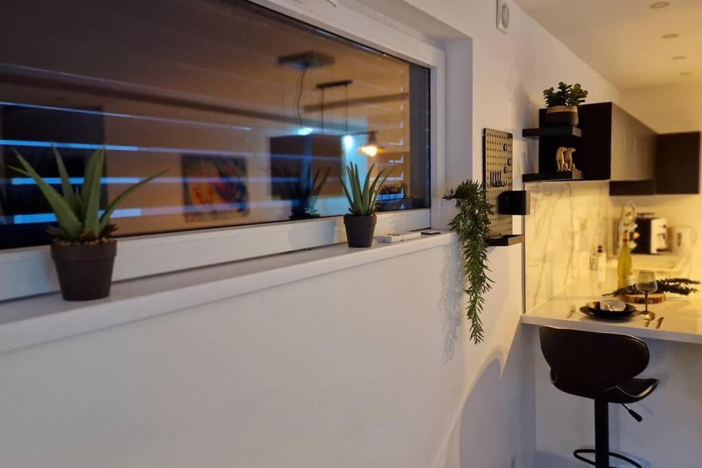 Suite Prestige Logement Neuf Avec Spa Et Ecran De Cinema En Rez De Jardin Colmar Zewnętrze zdjęcie