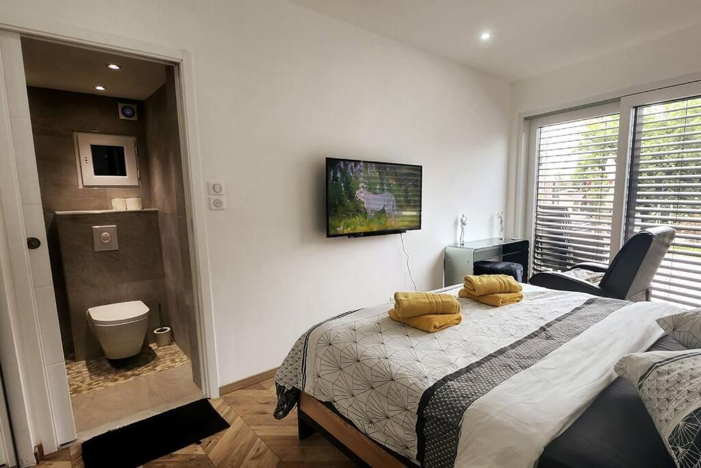 Suite Prestige Logement Neuf Avec Spa Et Ecran De Cinema En Rez De Jardin Colmar Zewnętrze zdjęcie