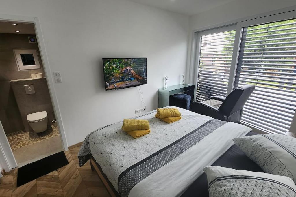 Suite Prestige Logement Neuf Avec Spa Et Ecran De Cinema En Rez De Jardin Colmar Zewnętrze zdjęcie
