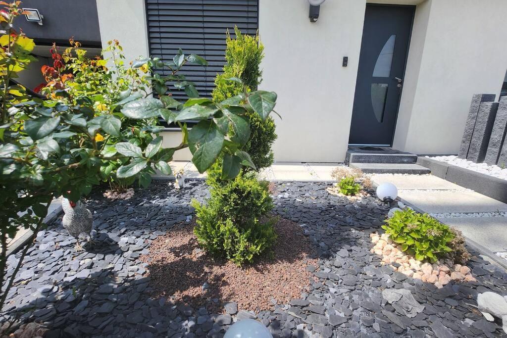 Suite Prestige Logement Neuf Avec Spa Et Ecran De Cinema En Rez De Jardin Colmar Zewnętrze zdjęcie