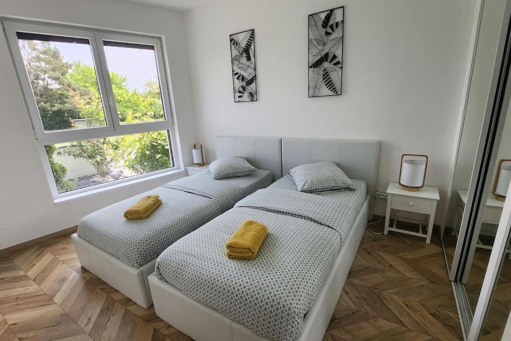 Suite Prestige Logement Neuf Avec Spa Et Ecran De Cinema En Rez De Jardin Colmar Zewnętrze zdjęcie